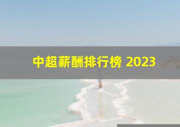 中超薪酬排行榜 2023